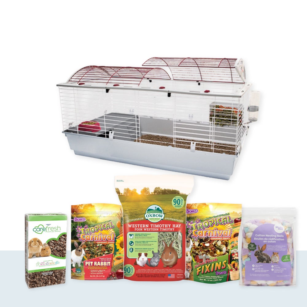 Rabbit Food & Supplies Set